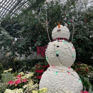 Meet your Posher, Pop